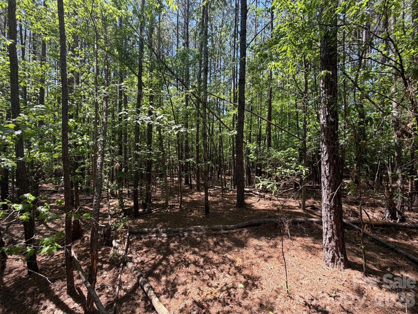 5 AC Terry Drive Highway