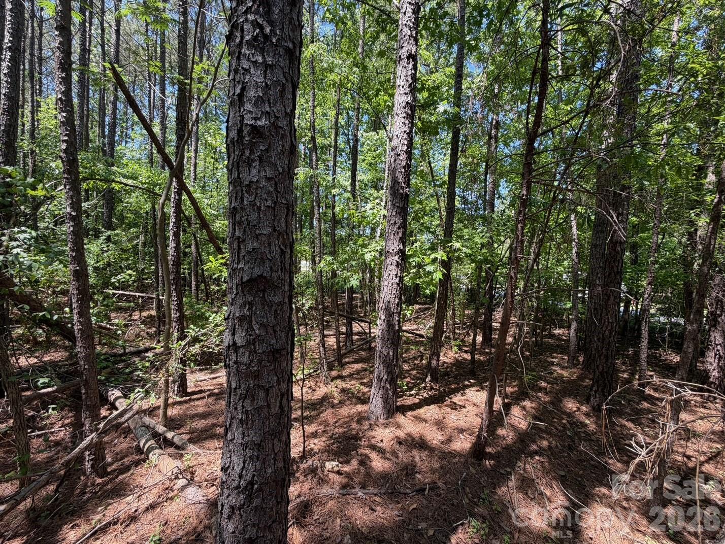 5 AC Terry Drive Highway