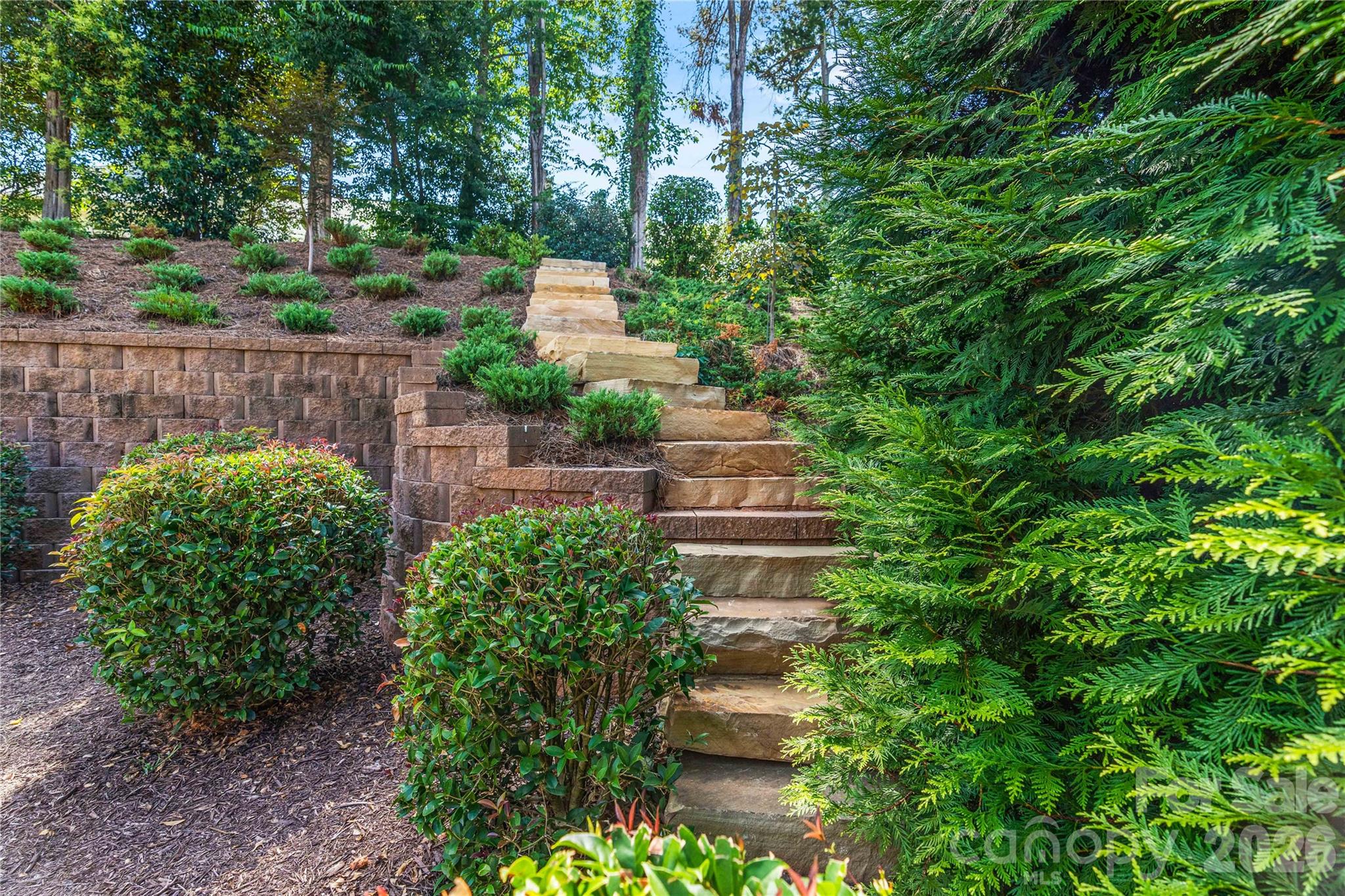 Shadowcreek - Residential