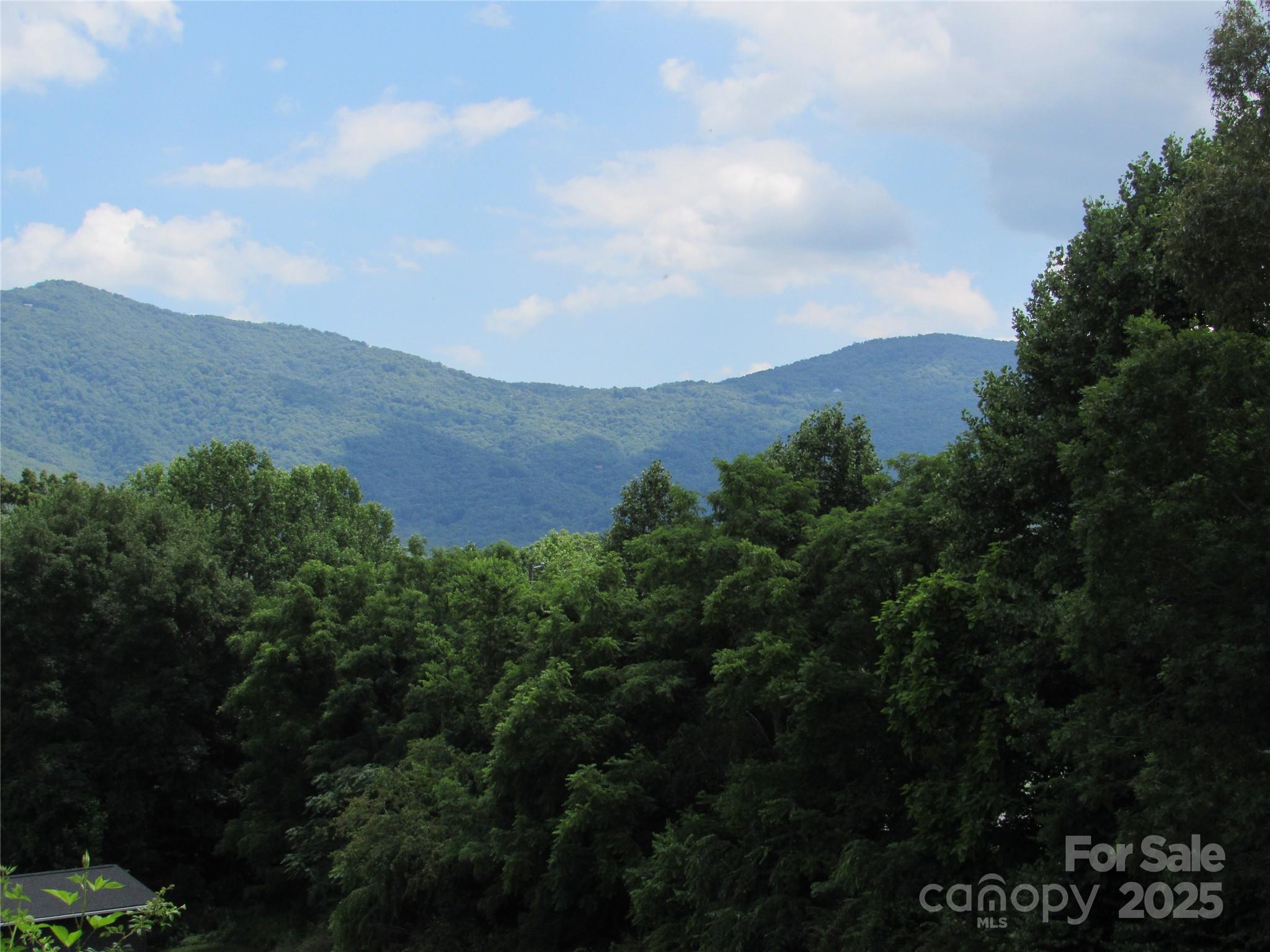Lot #2 Mystic View Lane