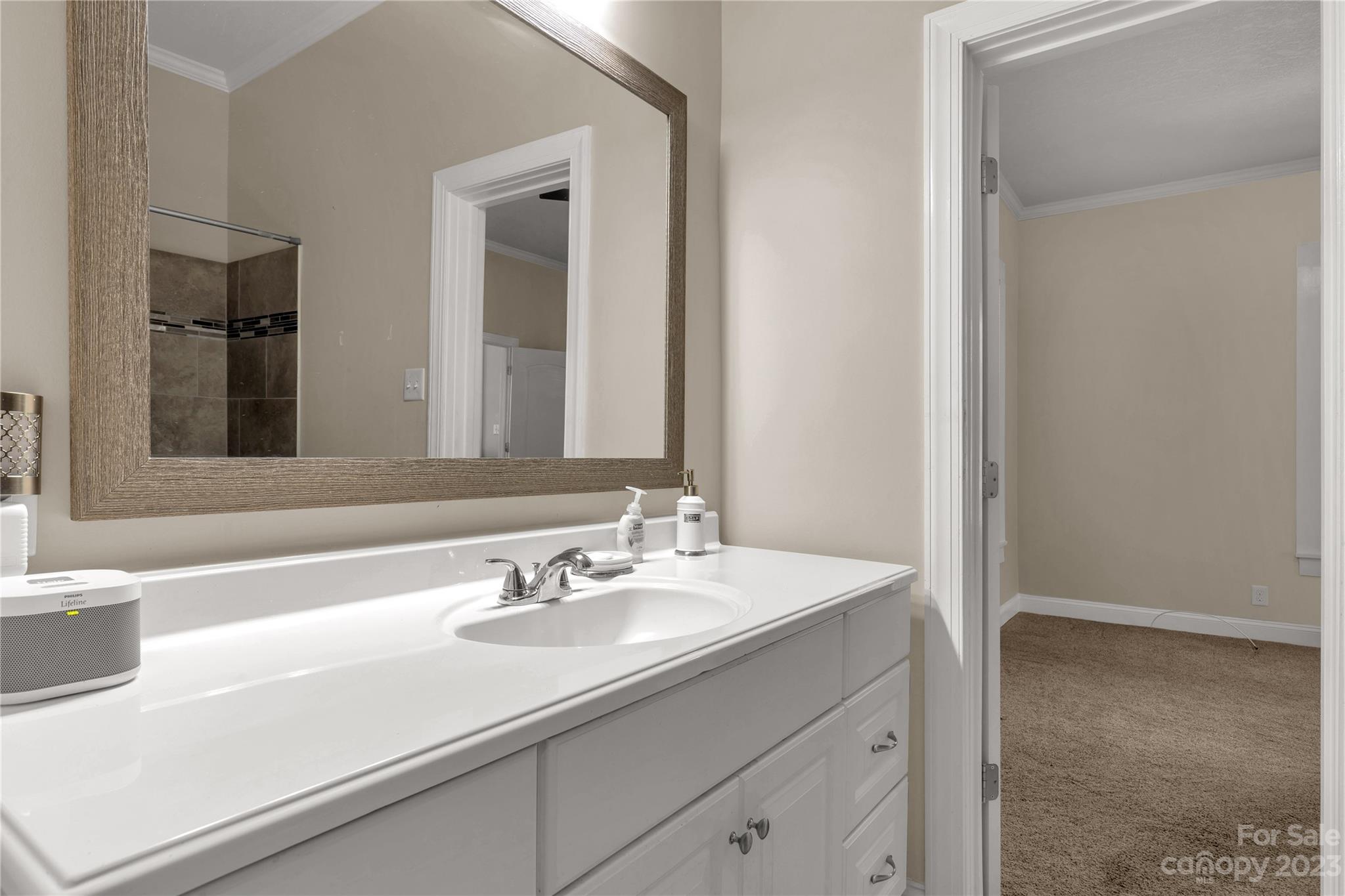 Aragon Baldwin Mills - Residential