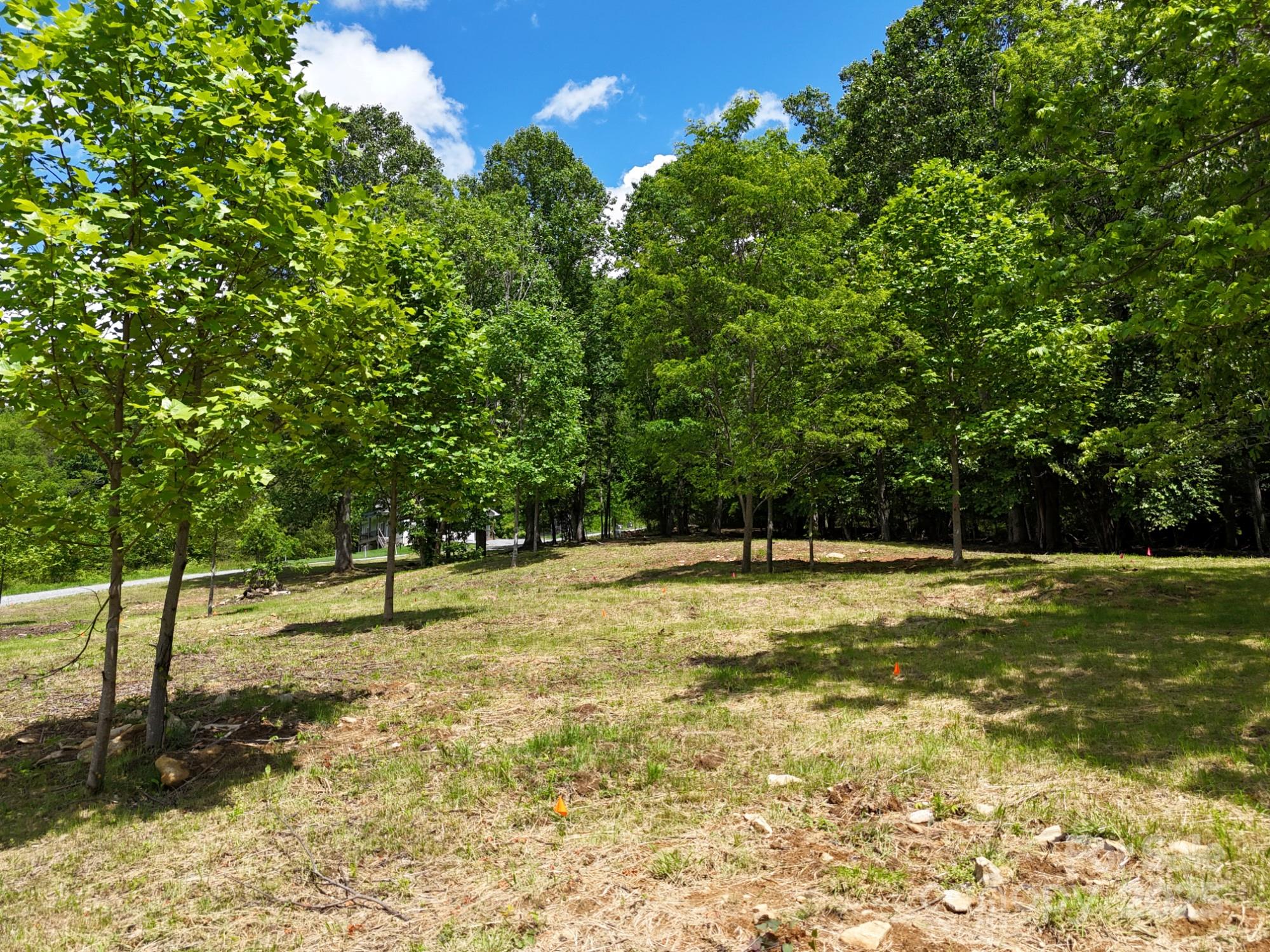 280 Split Pine Cove