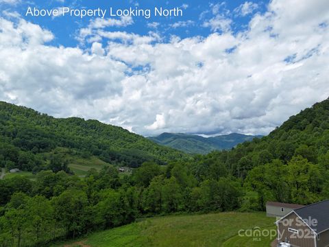 280 Split Pine Cove Clyde NC 28721