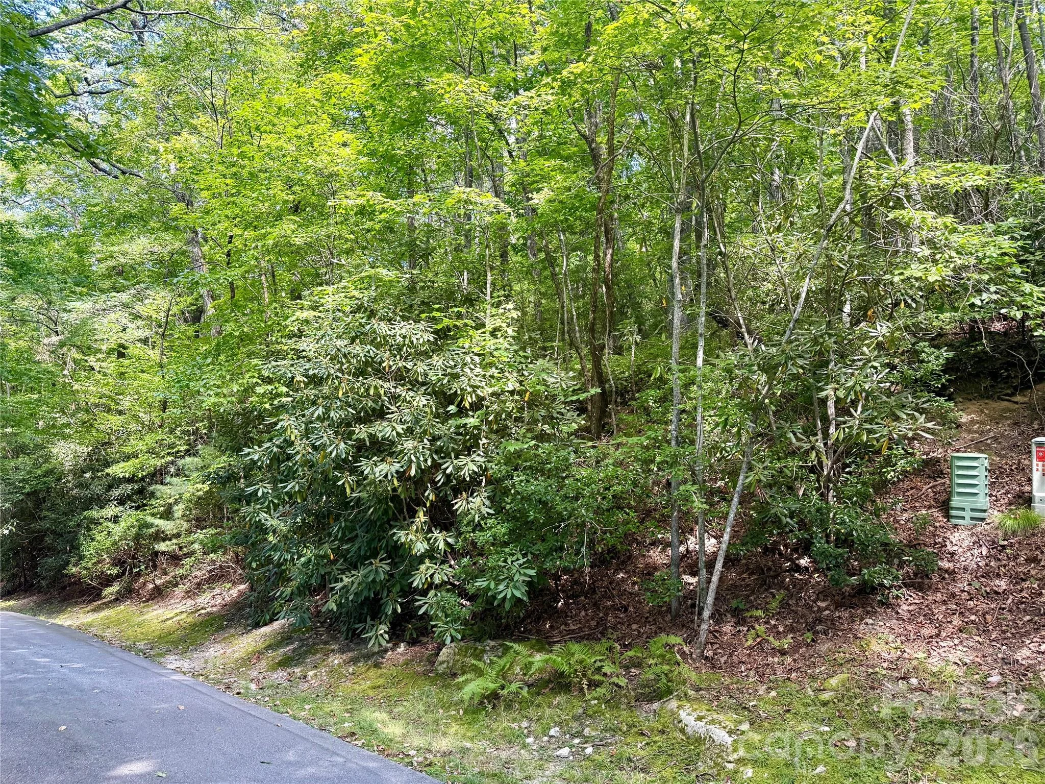 115 Black Oak Drive, Sapphire, NC, 28774
