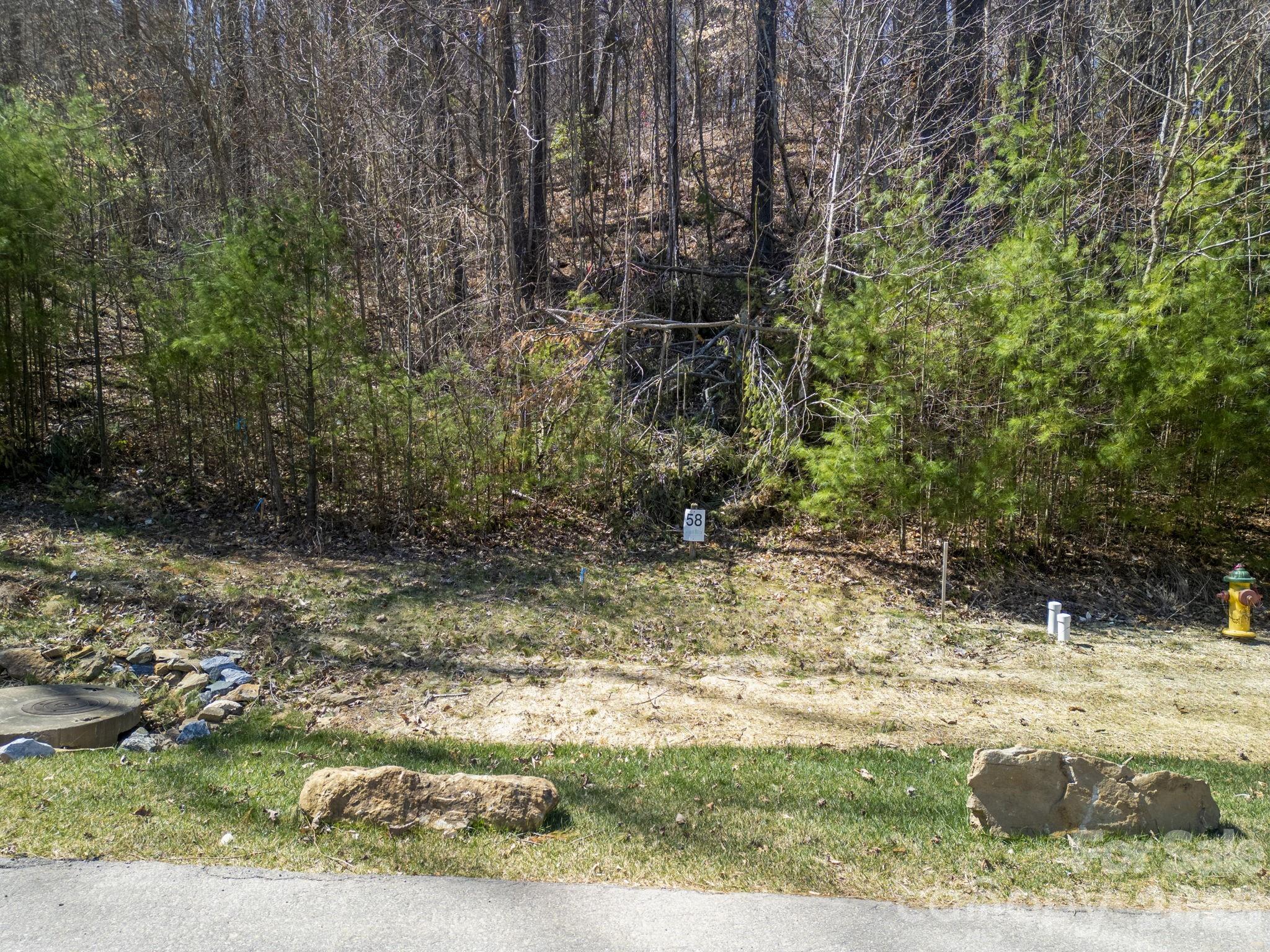 Town Mountain Preserve - Land