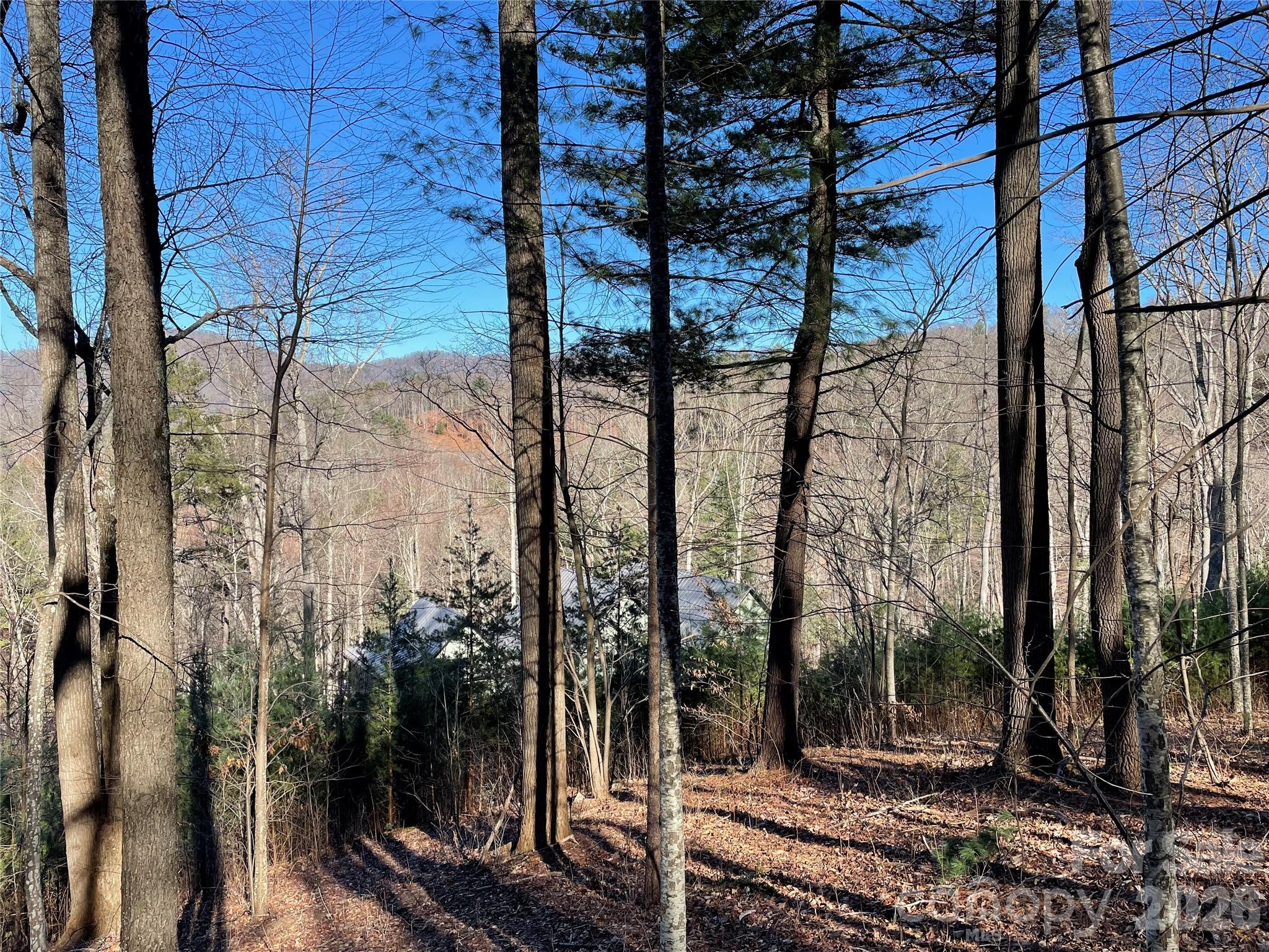 Town Mountain Preserve - Land