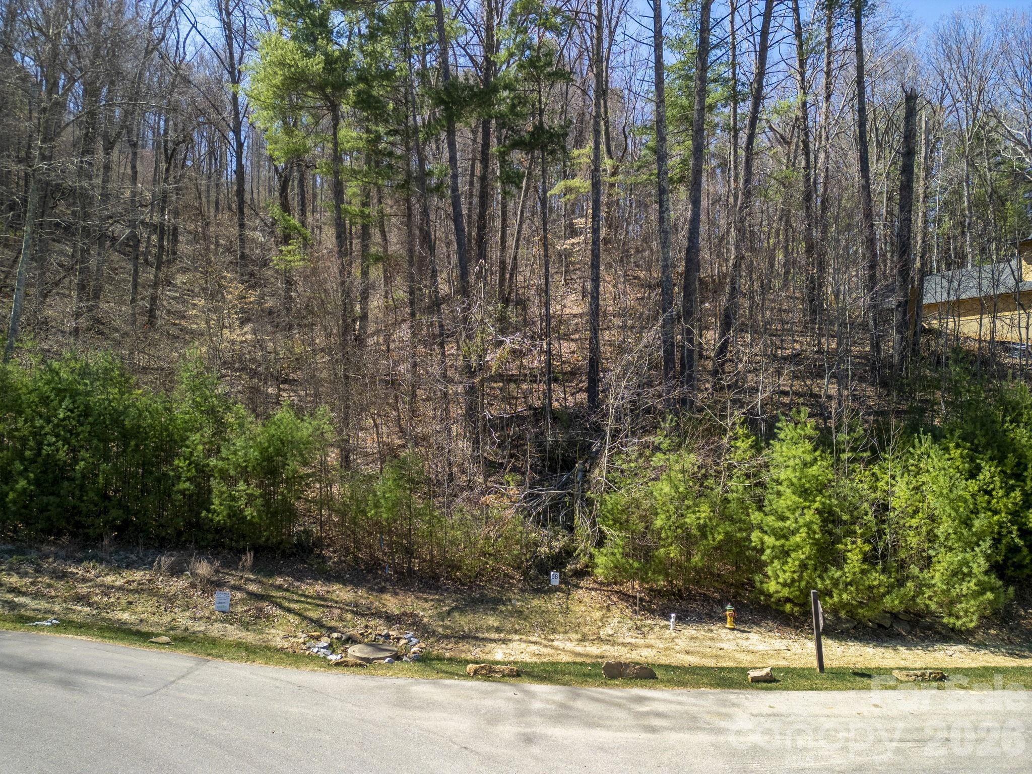 Town Mountain Preserve - Land