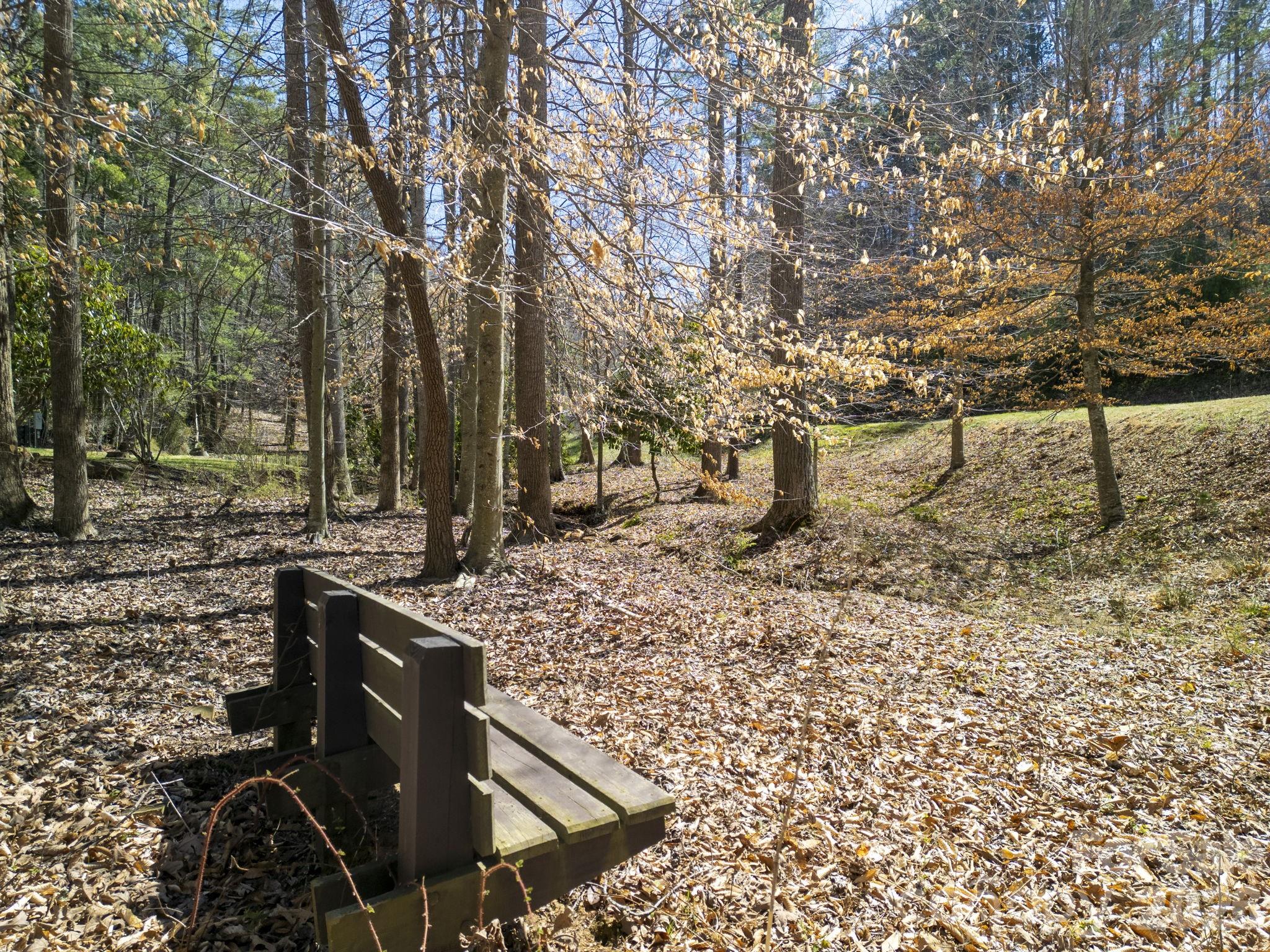Town Mountain Preserve - Land