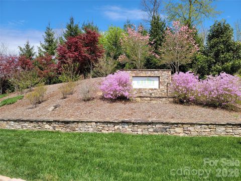 Photo of 48 Longspur Lane #58, Asheville, NC 28804 (MLS # 4370028)