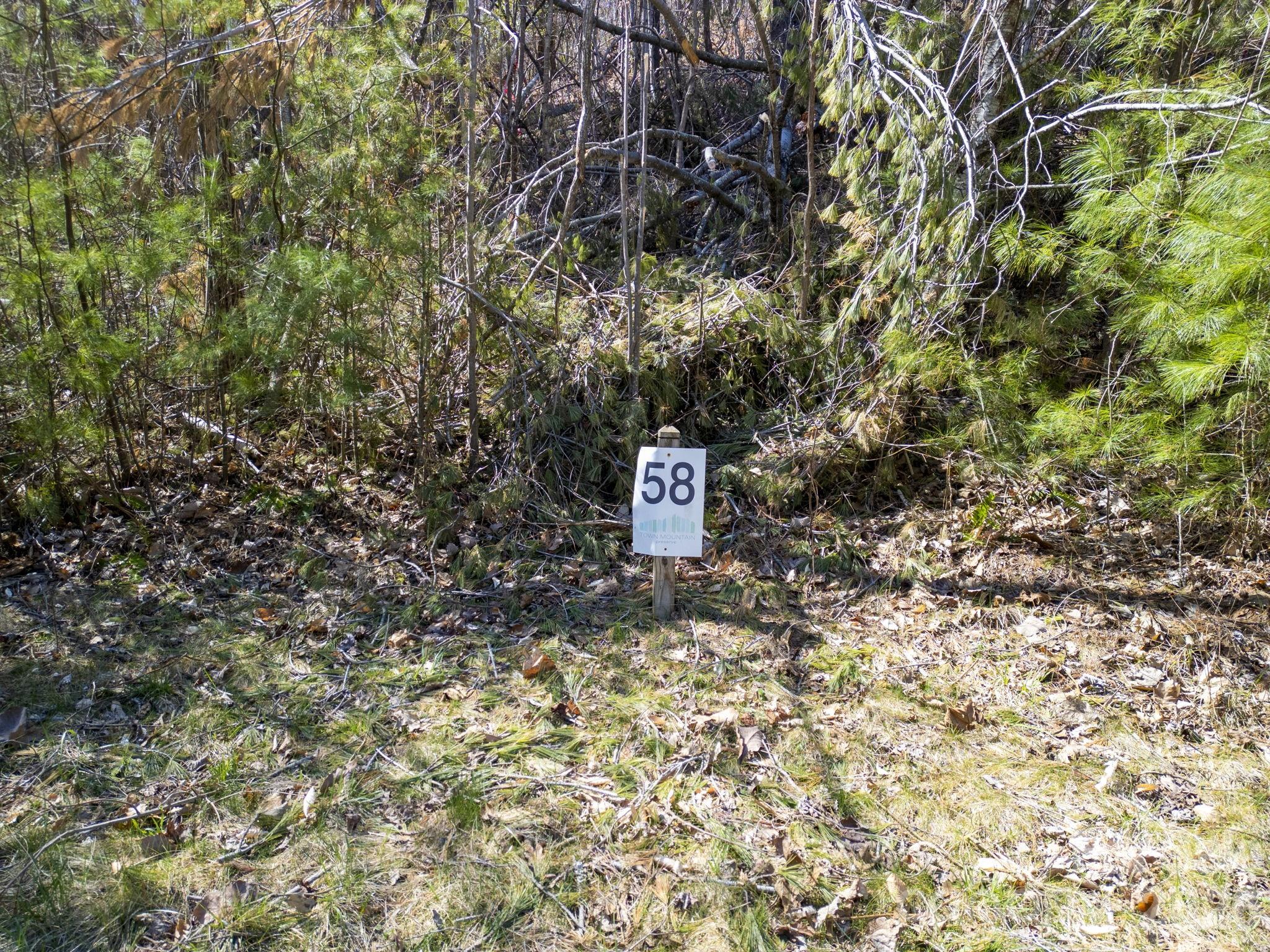 Town Mountain Preserve - Land