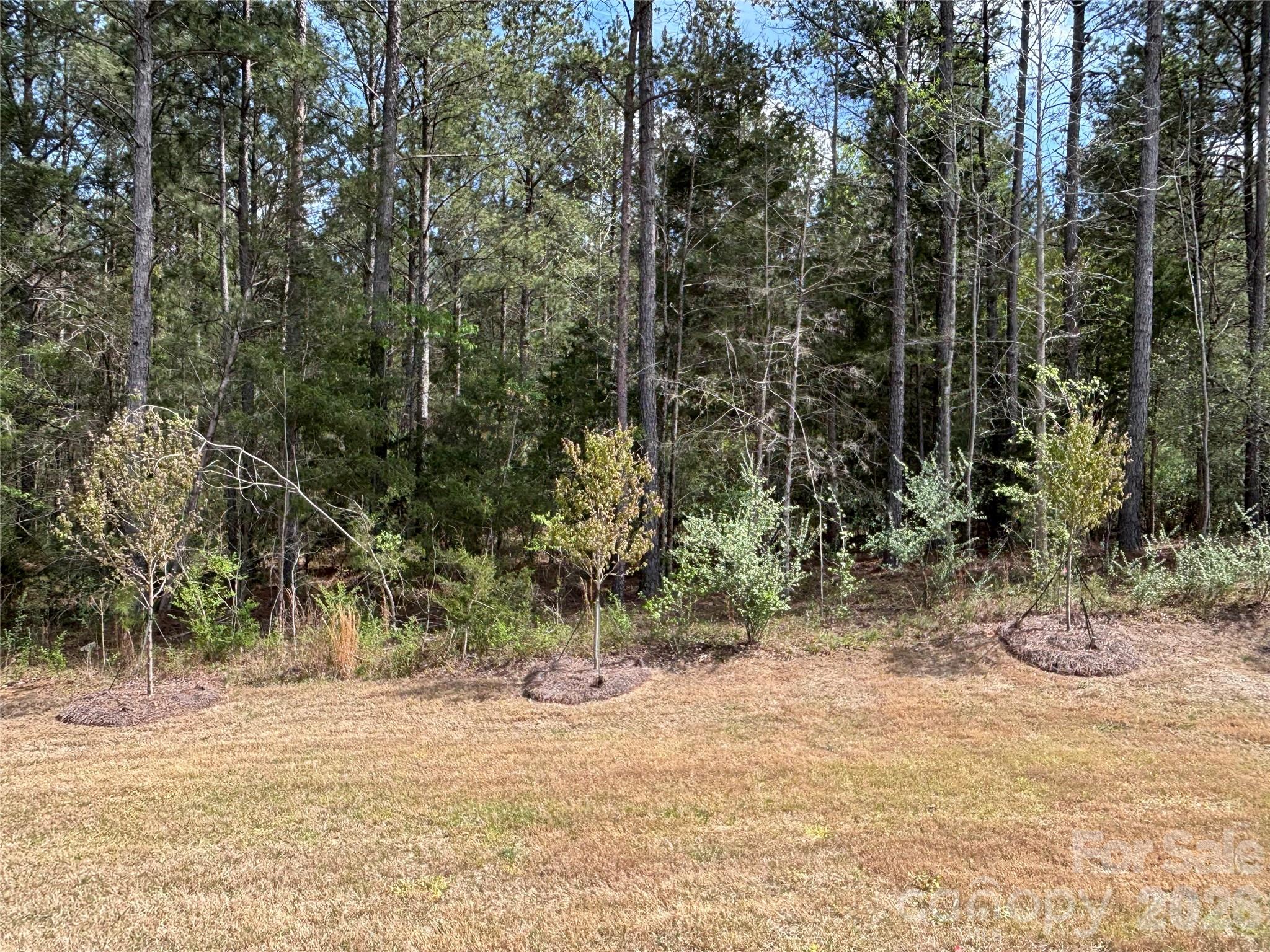 Westport - Residential