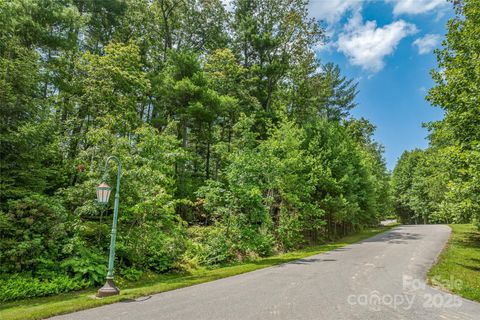 99999 Cedar Hill Drive 28 Biltmore Forest NC 28803