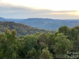 1403 Fleetwood Plaza 3