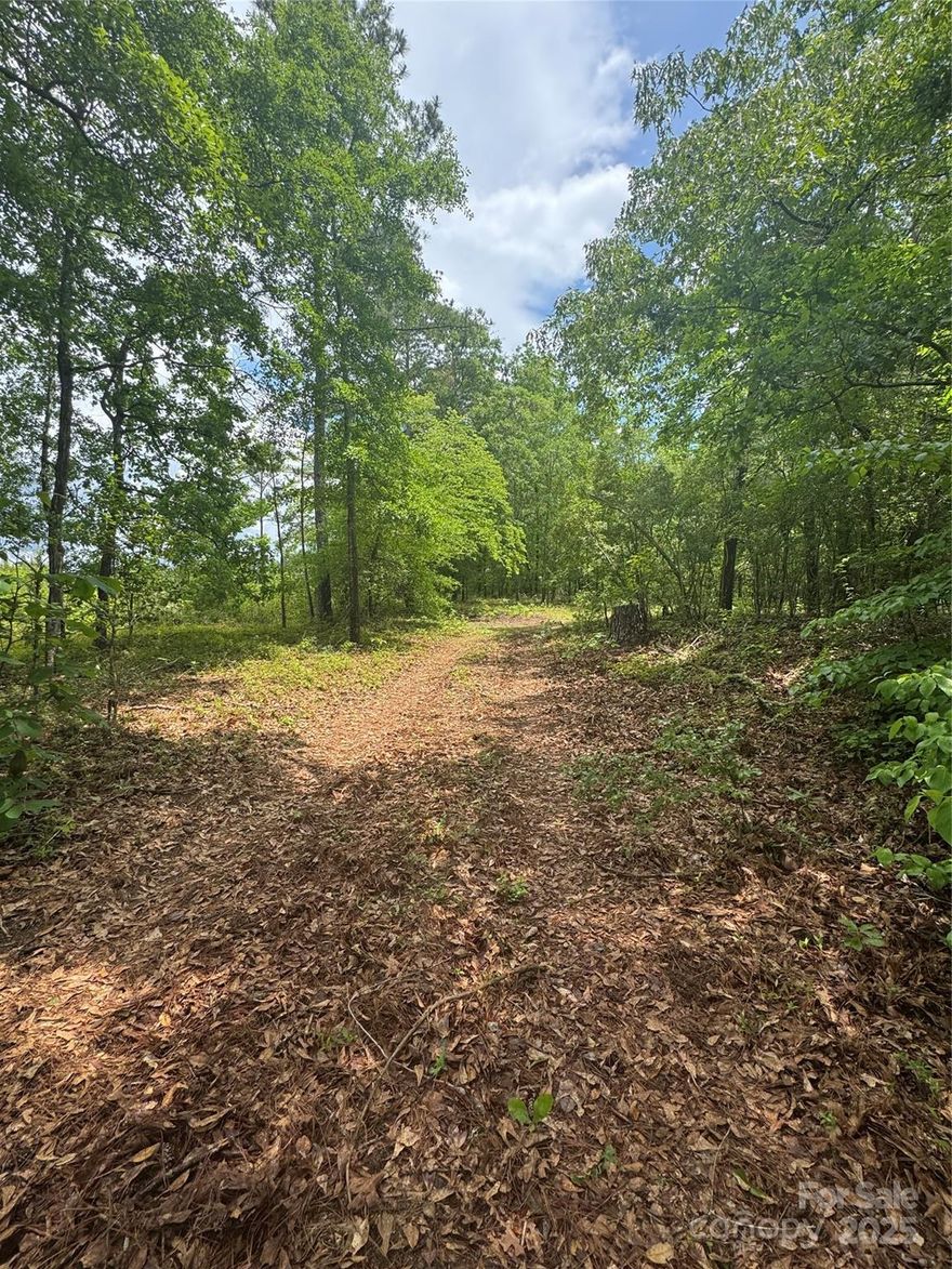 This stunning lot boasts an abundance of large oak trees, offering a sense of privacy and tranquility. It is bordered on one side and the rear by a timber company, while a picturesque stream flows alongside the property. This setting presents an ideal opportunity to construct your dream home in a serene and beautiful environment.