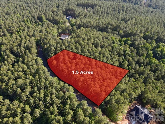 2143 LIGHTHOUSE LN, CONNELLY SPRINGS, NC 28612 - Image 0535fe0ed6b48b1443cc3caf066e96e0/2807199546