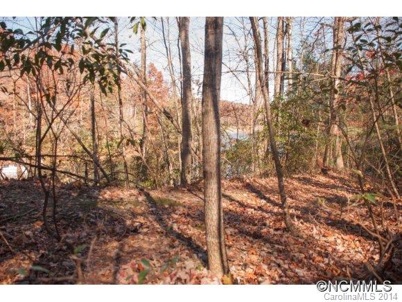 Connestee Falls - Land