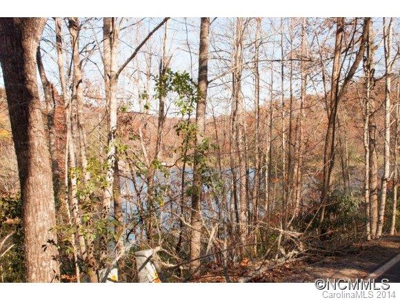 Connestee Falls - Land