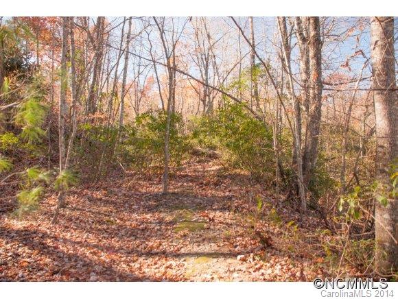 Connestee Falls - Land