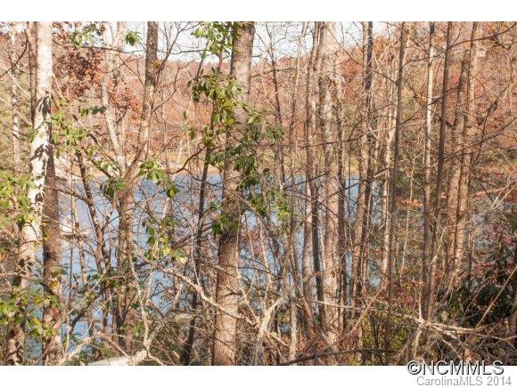 Connestee Falls - Land