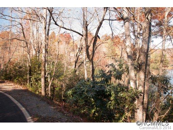 Connestee Falls - Land