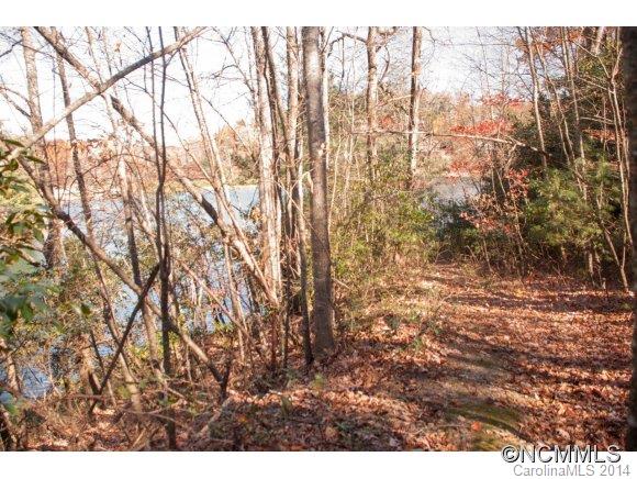 Connestee Falls - Land