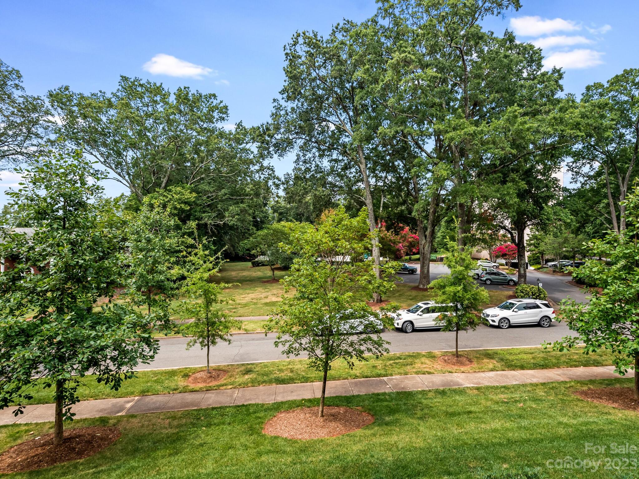 Myers Park - Residential