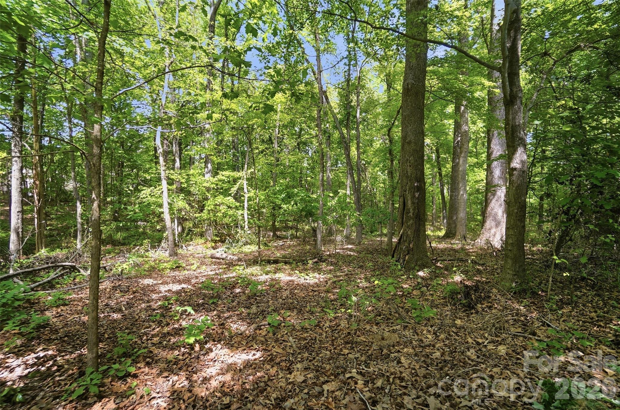 Weddington Ridge - Residential