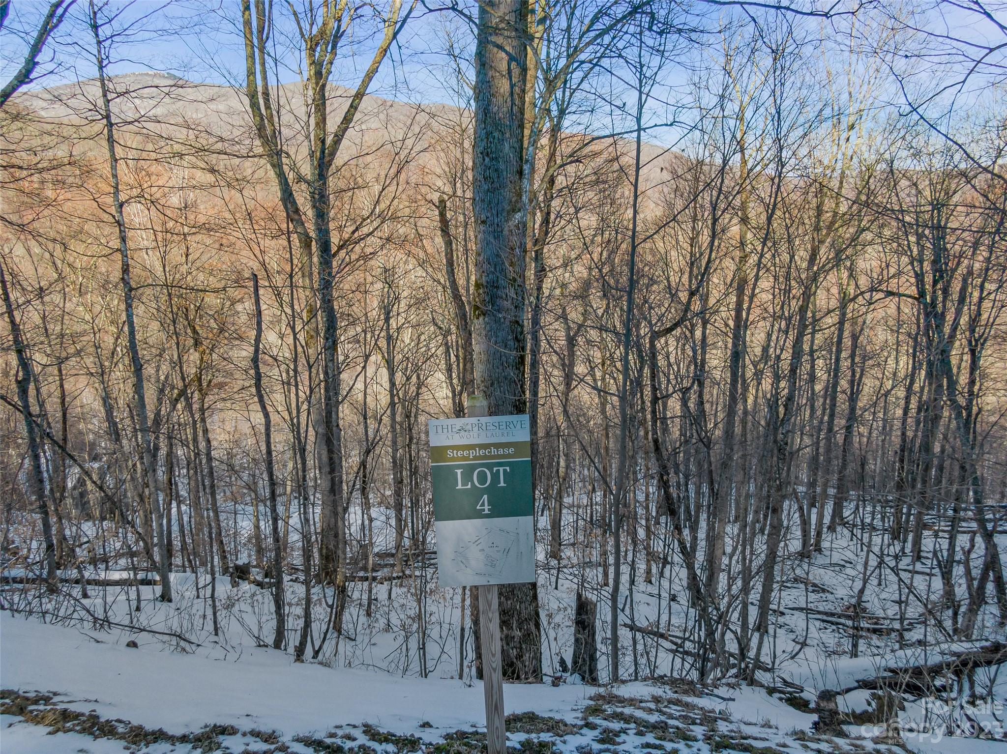 The Preserve at Wolf Laurel - Land
