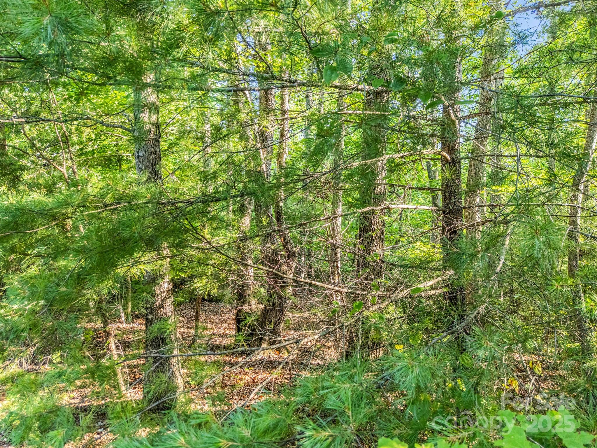 Forest Heights - Land