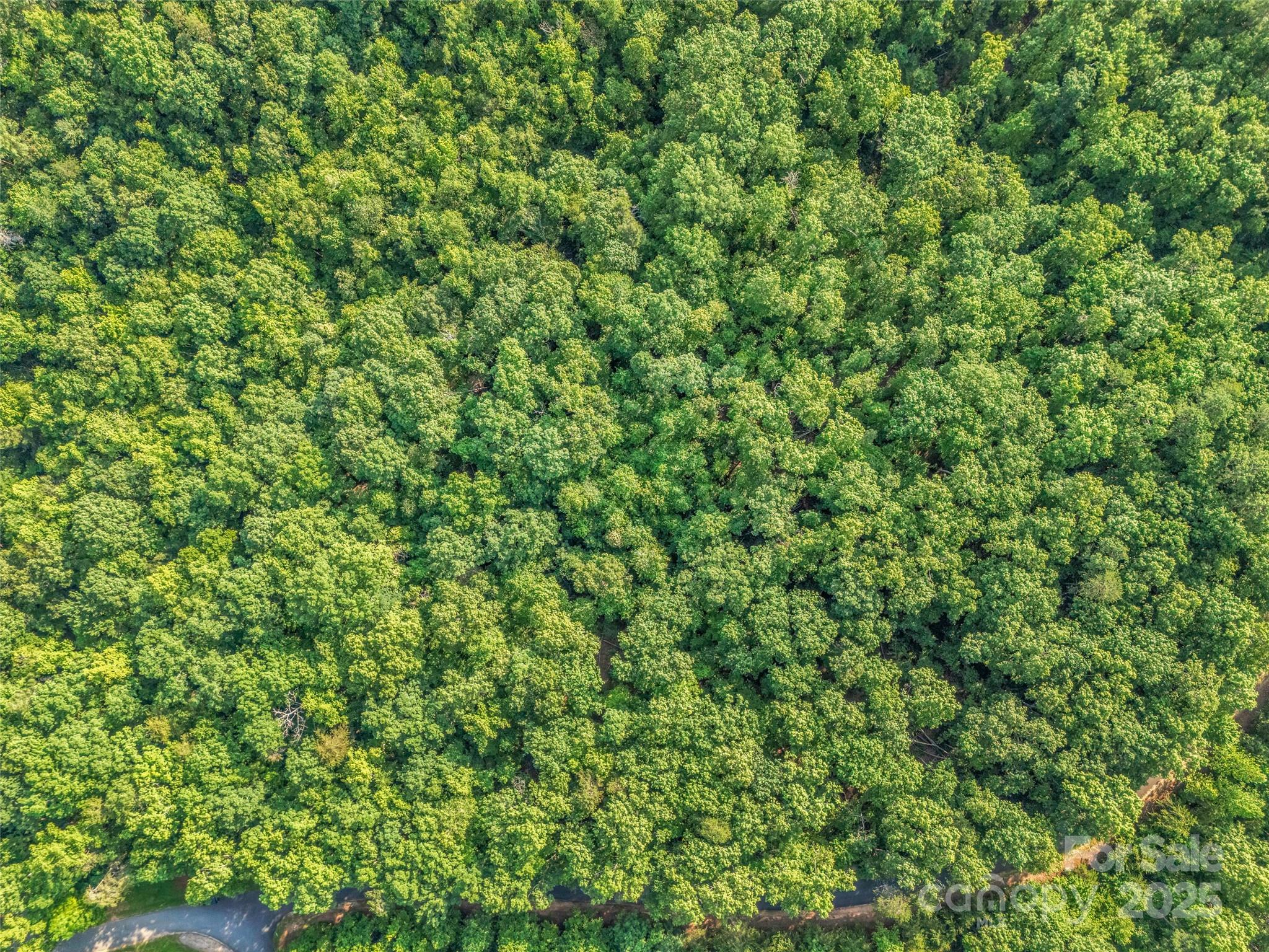 Forest Heights - Land