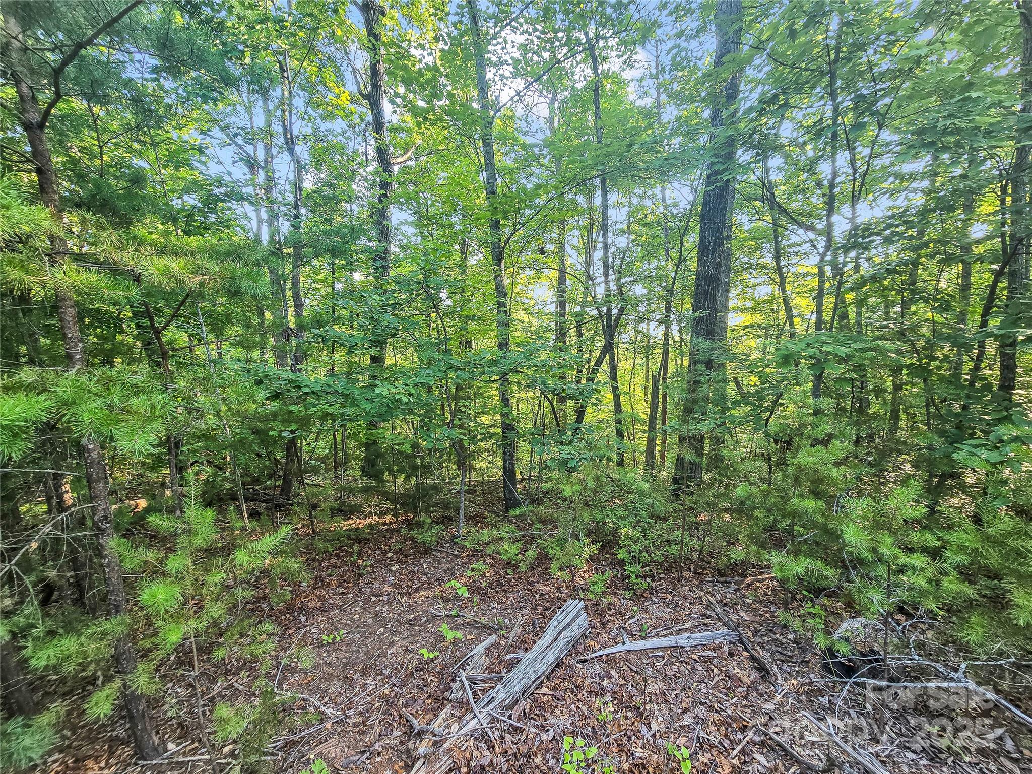 0 Forest Country Drive Lot 49