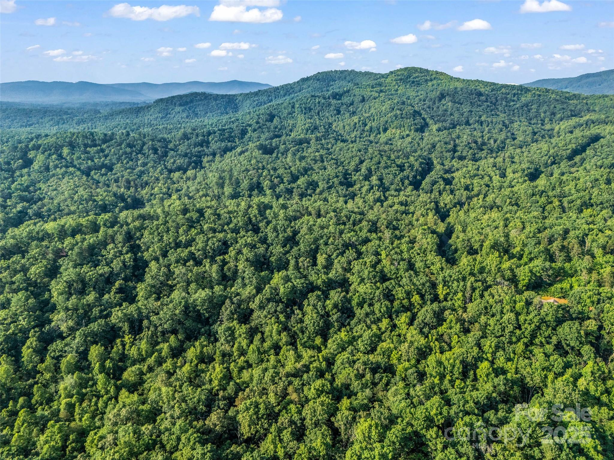 Forest Heights - Land