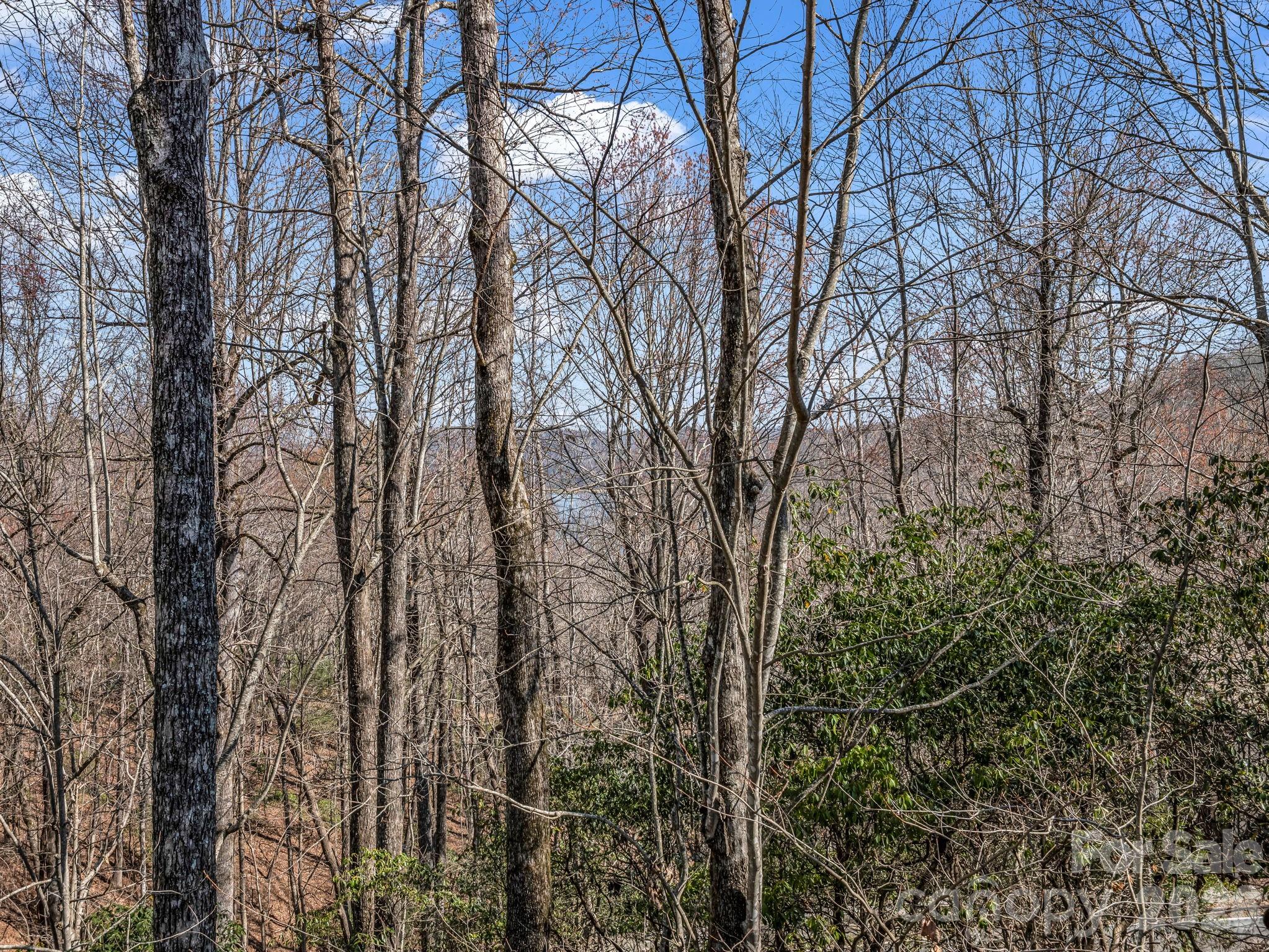 Connestee Falls - Residential