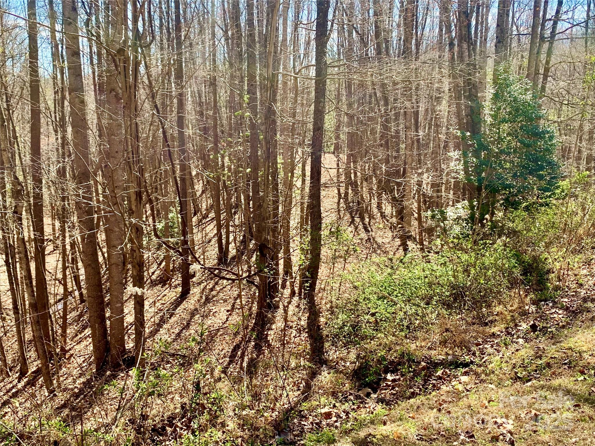 The Coves Mountain River Club - Land