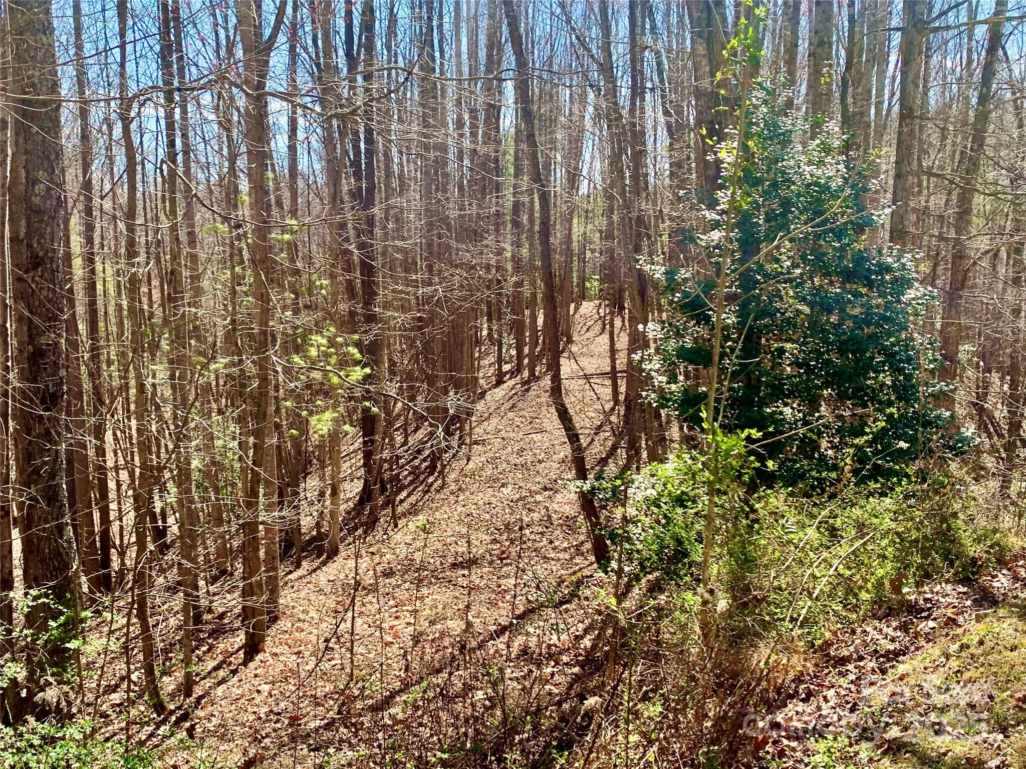 2.78 acres, Lot 84 Round Rock Road 84