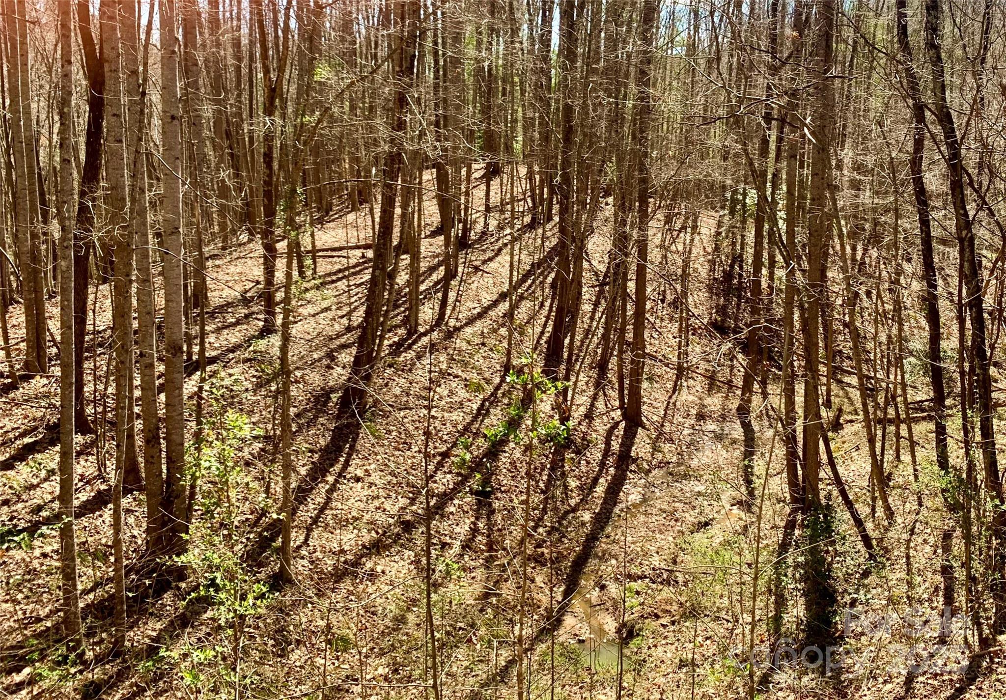 The Coves Mountain River Club - Land