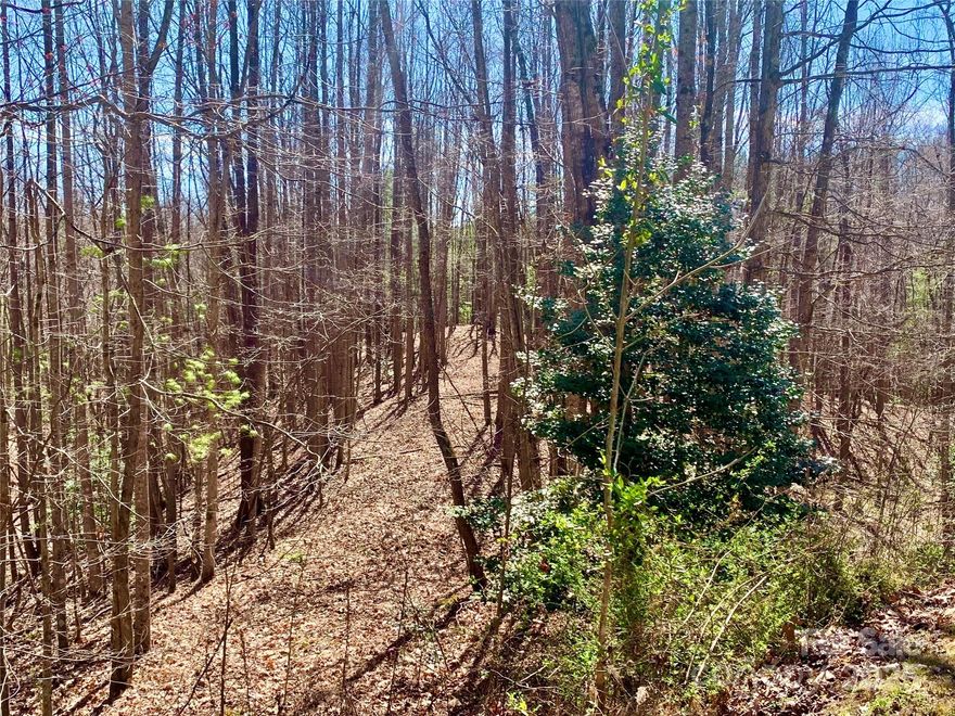 2.78 acres with a flat ridge that stretches from the street to a flat knoll in the middle of the lot, just waiting for your mountain home. Beautiful hardwood trees, dogwoods, and mountain laurel surround you. No time limits to build. Located at The Coves Mountain River Club, a 3,200 acre gated community in the Blue Ridge Mountains.  Hike, bike, ride horses or UTVs on miles of private community trails. Kayak, fish, pan for gold in 5 miles of Johns River on site. At the Club House: wrap around porches have 360º mountain views; the pool faces Pisgah National Forest.  Inside: fitness center, locker rooms, kitchen, great room with 3-sided fireplace, lending library, and more.  Social events, excursions, hiking, travel, yoga. 2 Equestrian Centers. Dog Park,. Pickle-ball courts. Vineyard, Gardens. 500k acre Pisgah National Forest & Wilson Creek Gorge are just outside the gates!  1.25 hr drive to Charlotte or Asheville. Minutes to Blowing Rock, Morganton & Lenoir. I-40 is 30 mins away.