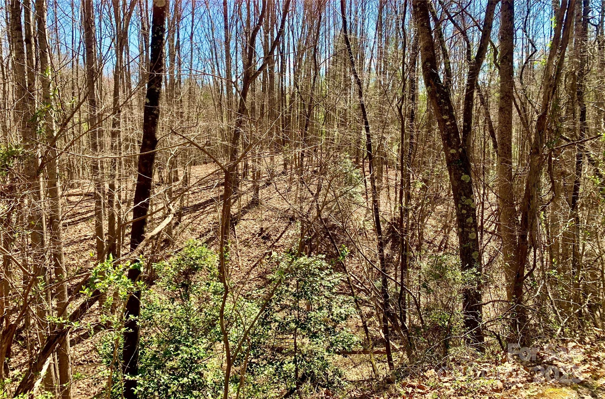 2.78 acres, Lot 84 Round Rock Road 84