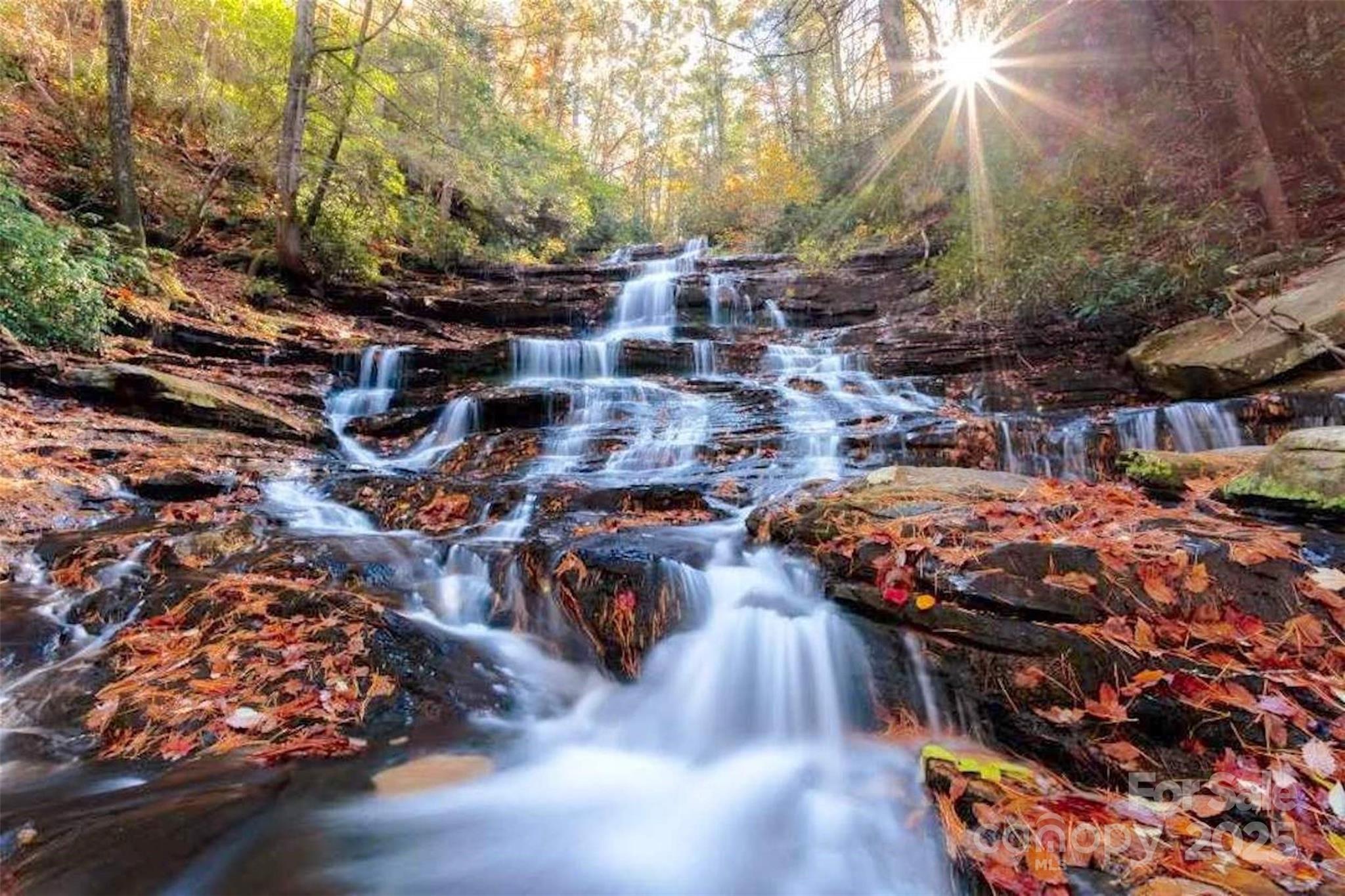 The Coves Mountain River Club - Land