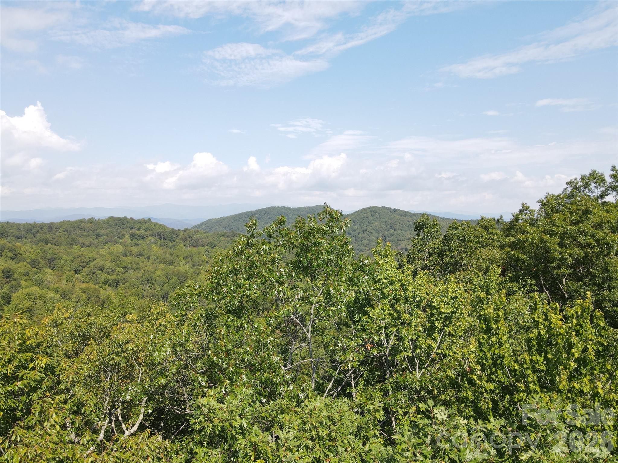 Indian Camp Mountain - Land