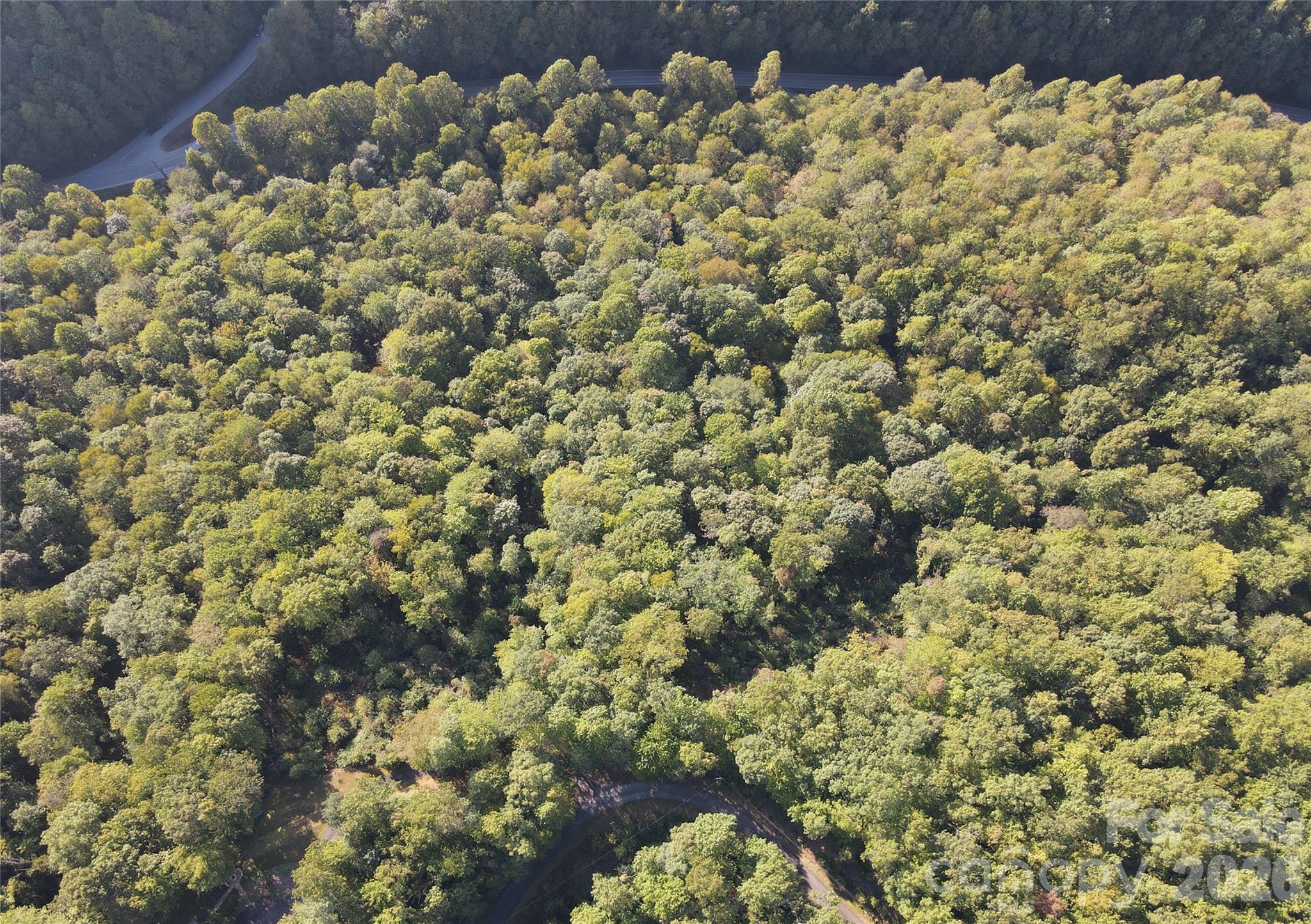 Indian Camp Mountain - Land