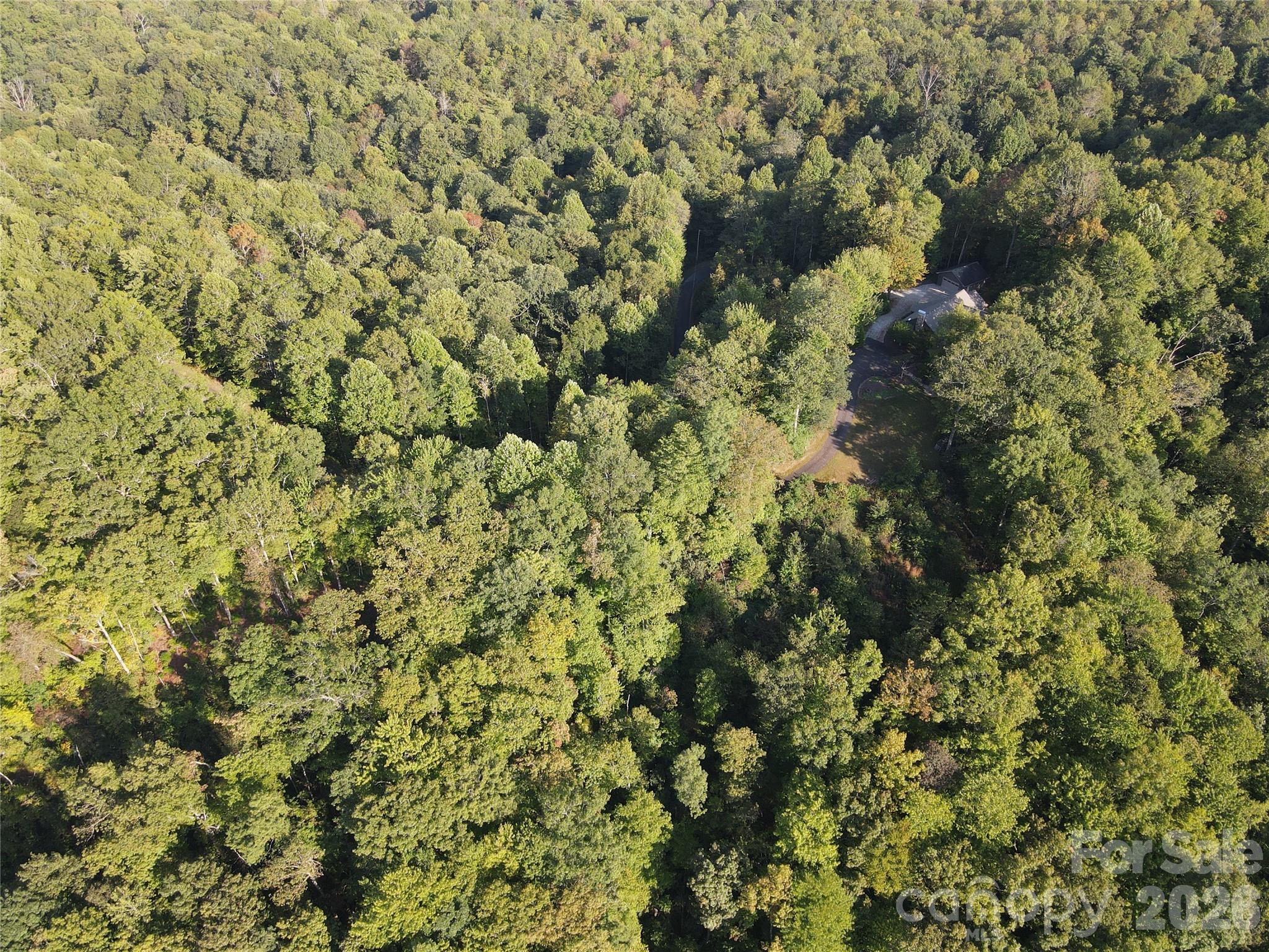 Indian Camp Mountain - Land