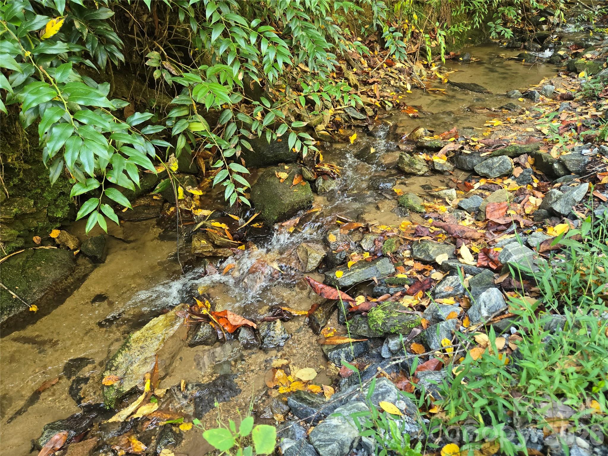 Indian Camp Mountain - Land