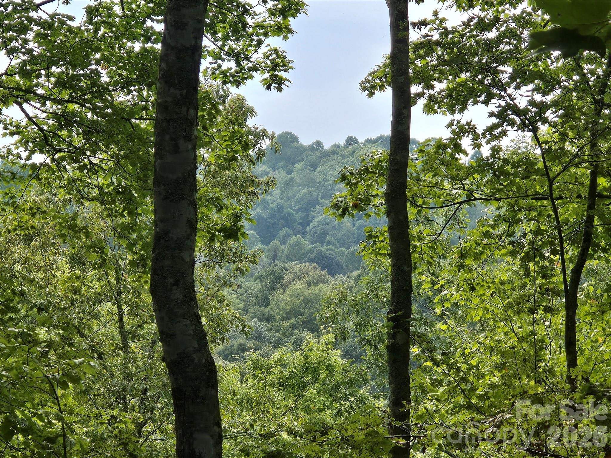 Indian Camp Mountain - Land
