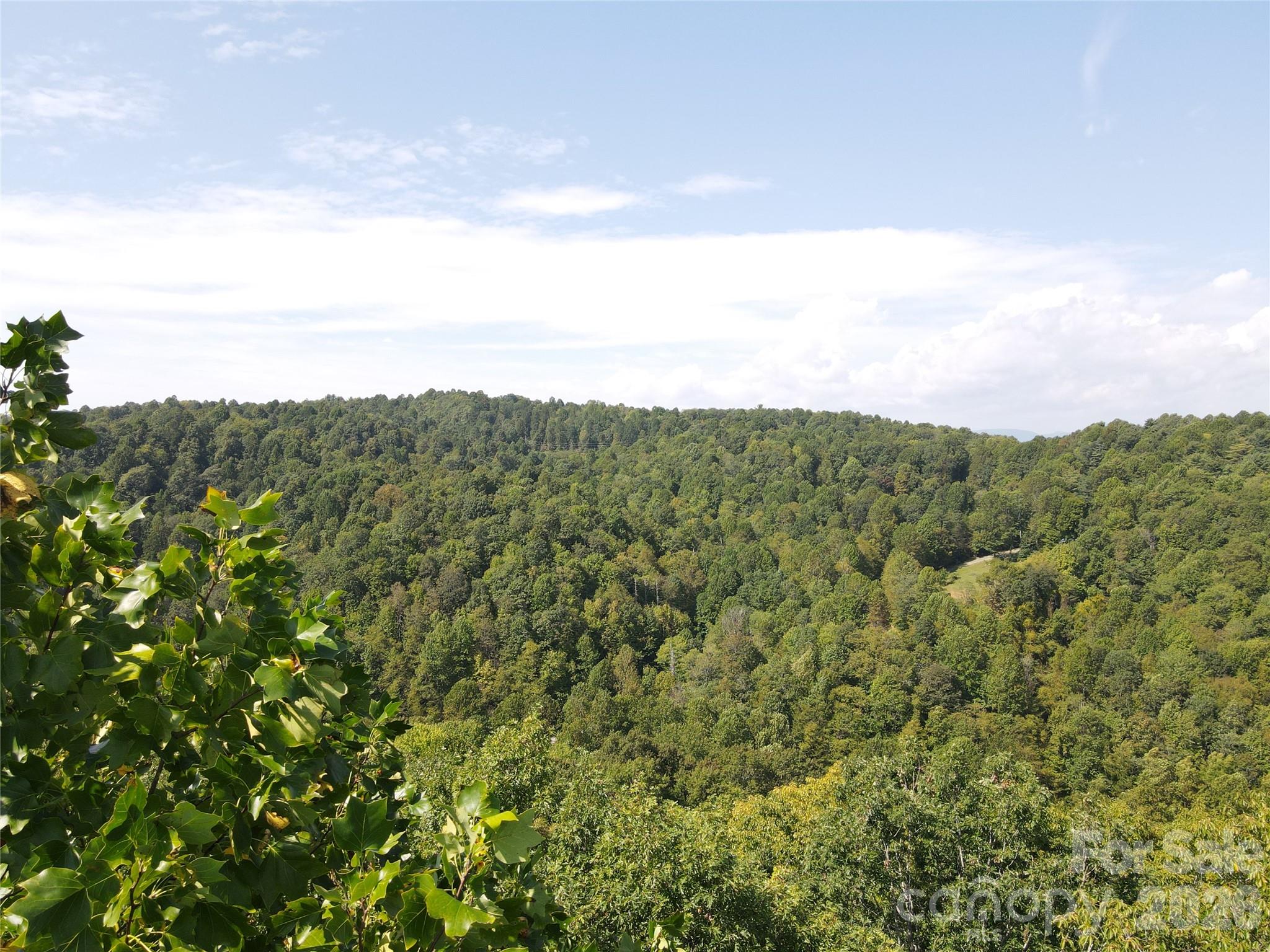 Indian Camp Mountain - Land