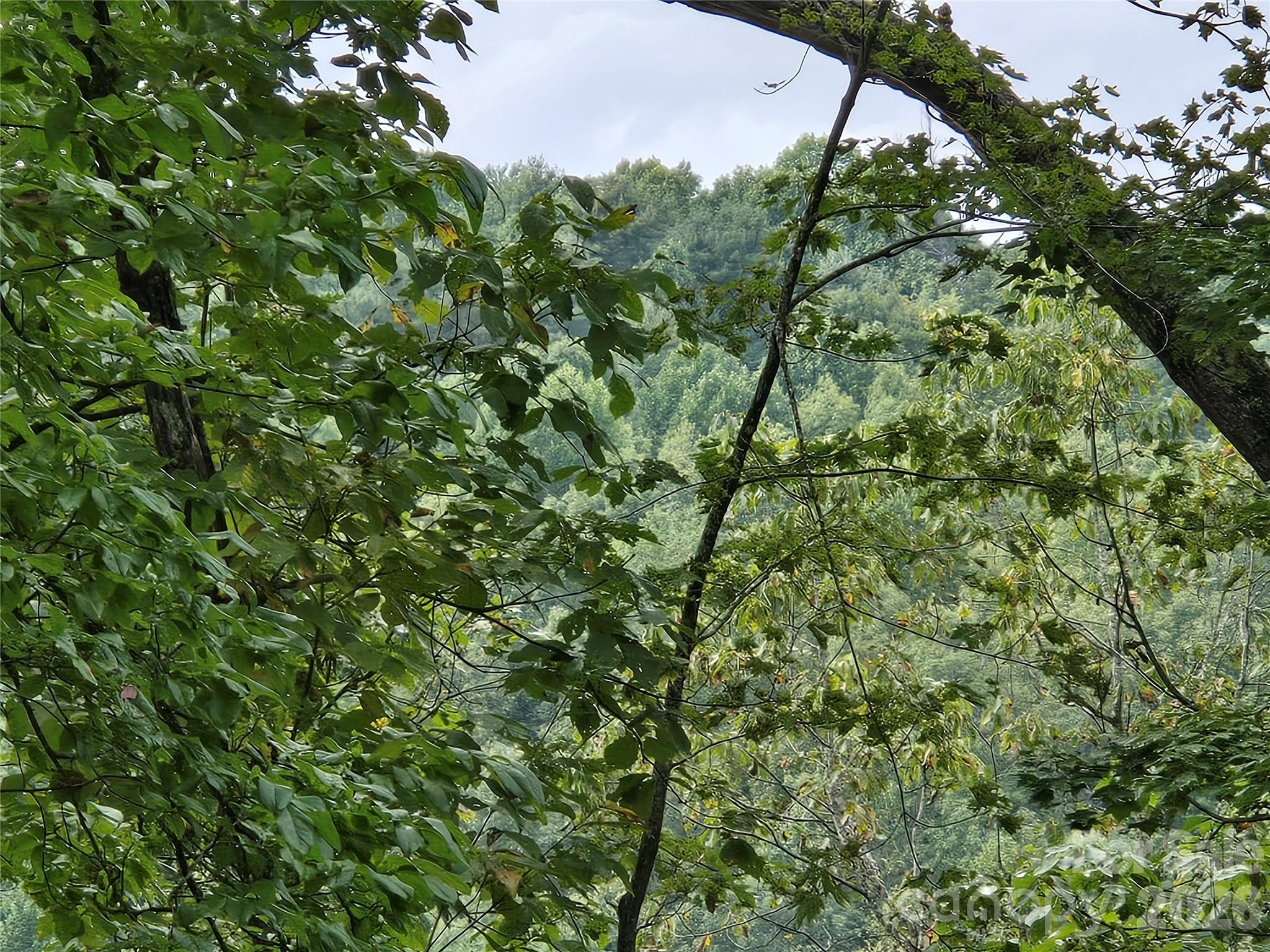 Indian Camp Mountain - Land