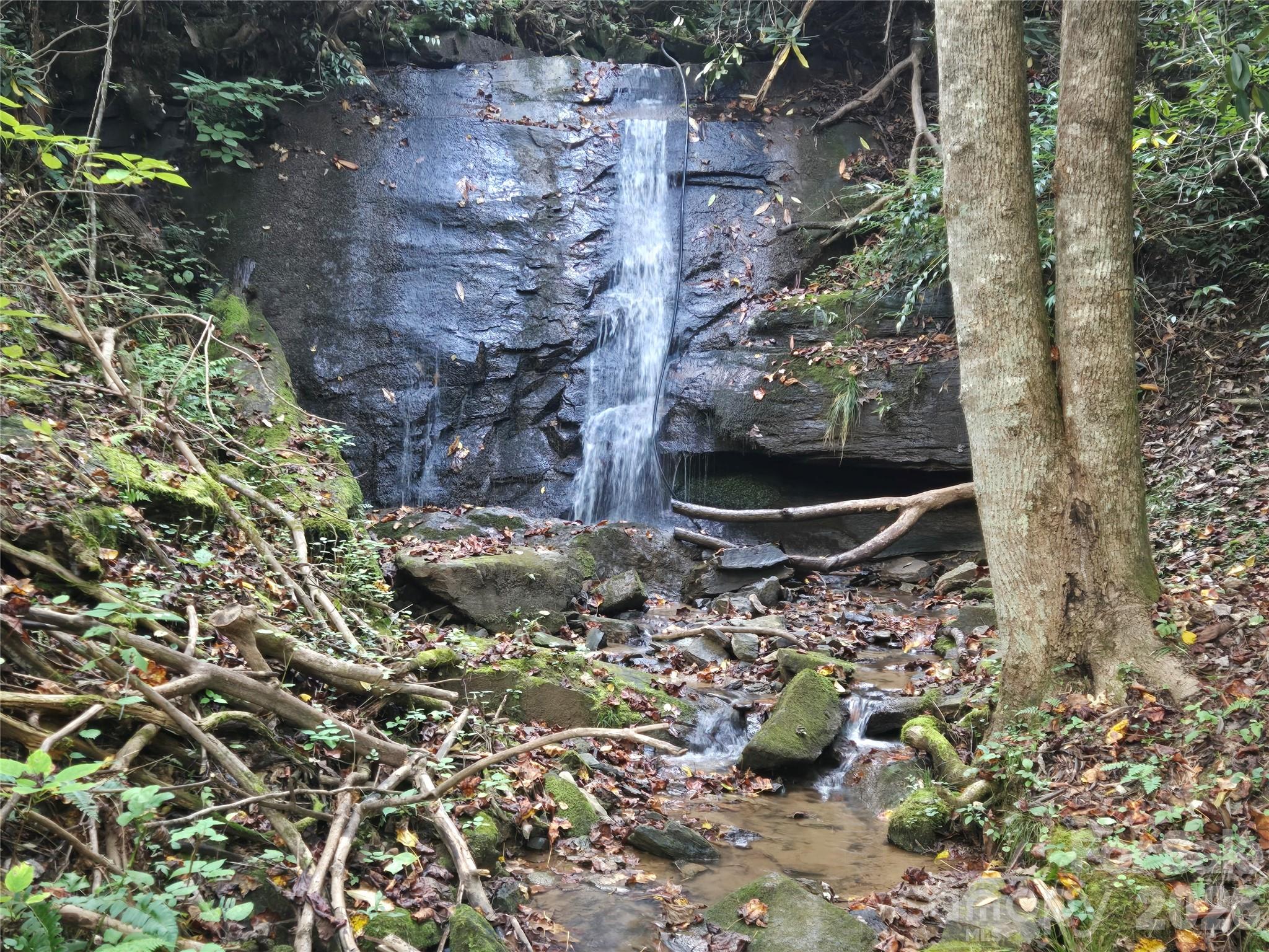 Indian Camp Mountain - Land