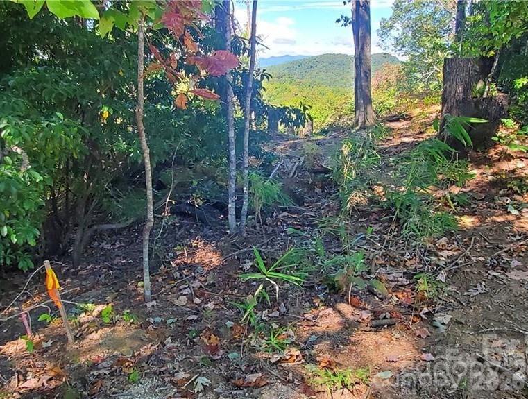 Indian Camp Mountain - Land