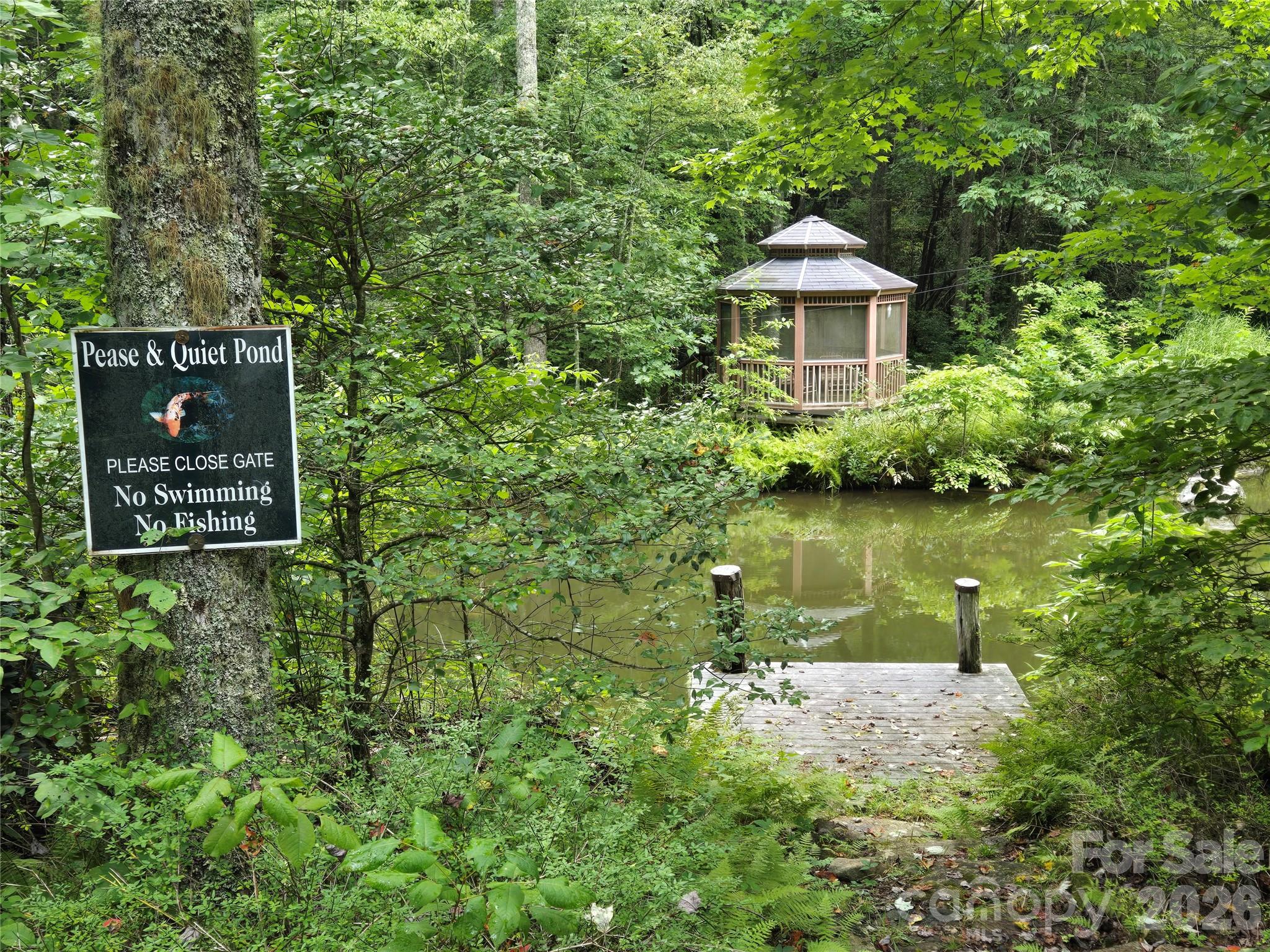 Indian Camp Mountain - Land