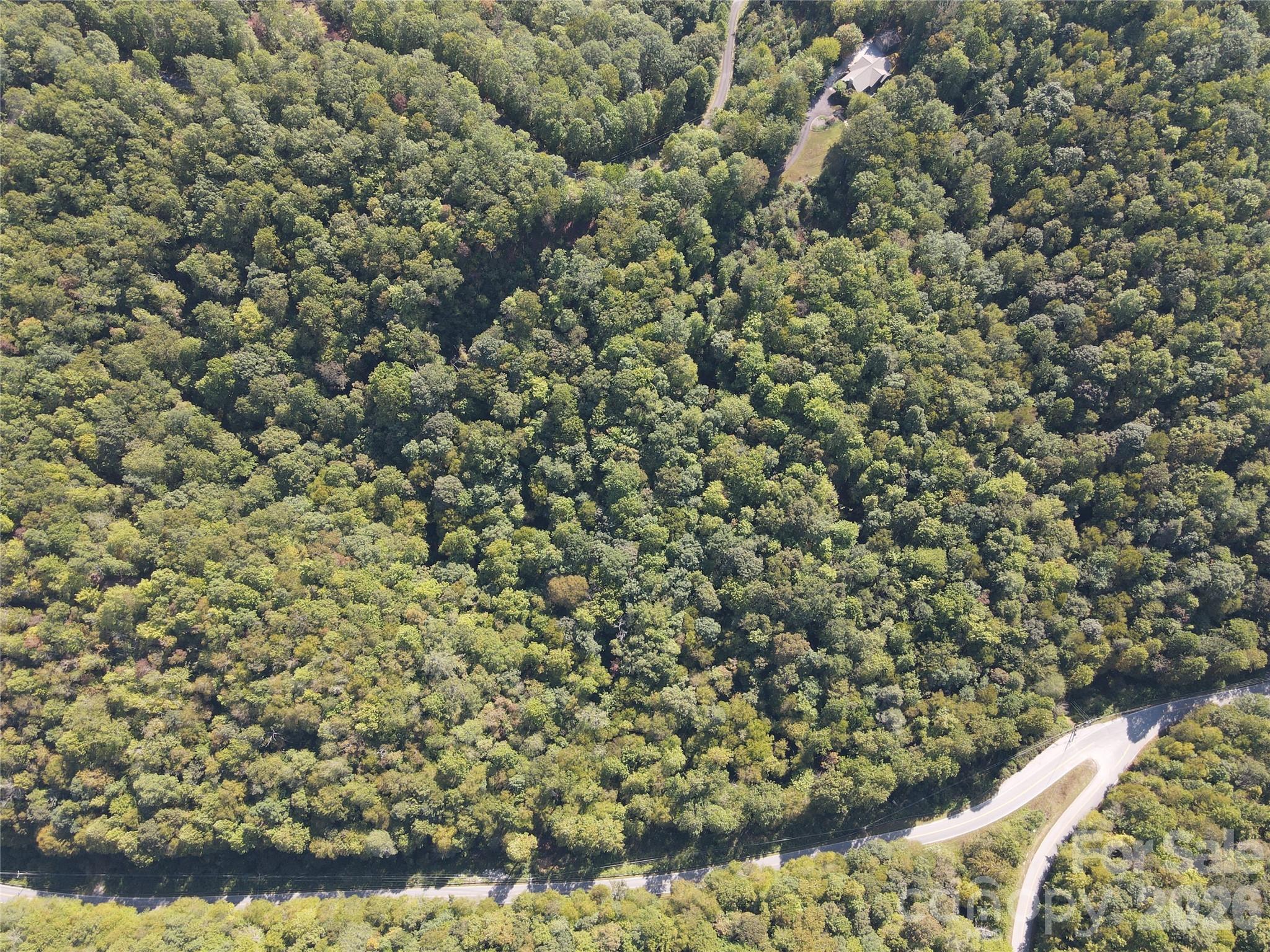 Indian Camp Mountain - Land